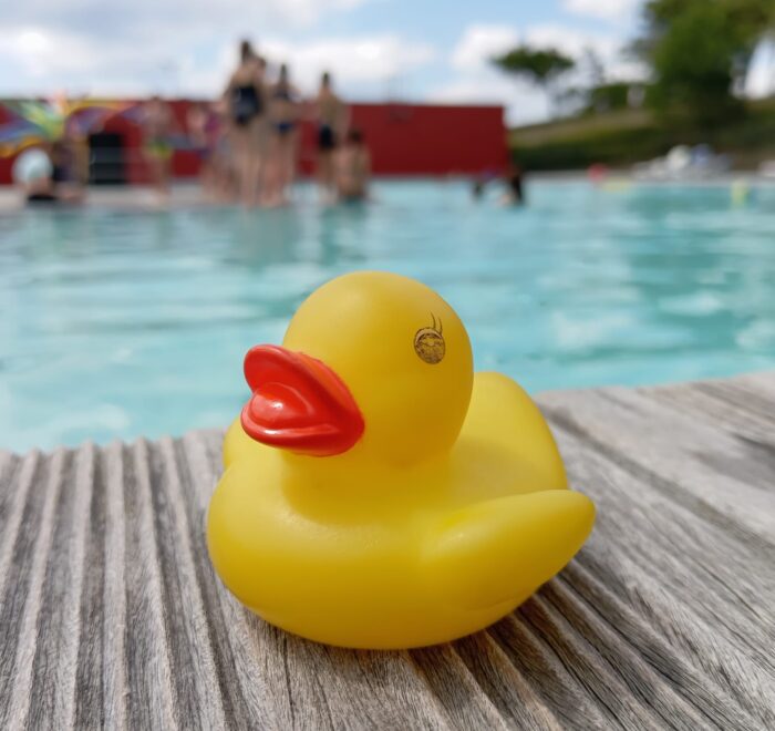 Les petits Canards vous apprend à nager avant l'été